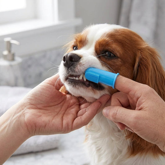Pet Finger Toothbrush Set – 6 Ultra-Soft Manual Dental Brushes for Dogs & Cats | Paws Palace