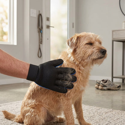 Pet Grooming Glove Set – Reusable Blue Hair Remover Gloves for Dogs & Cats, 1 Pair | Paws Palace