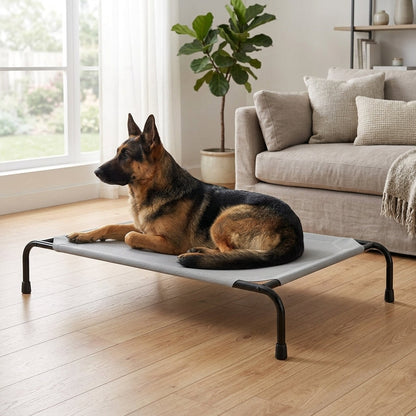 Elevated Cooling Dog Bed – 47.75" Large Outdoor & Indoor Dog Cot (Grey) | Paws Palace