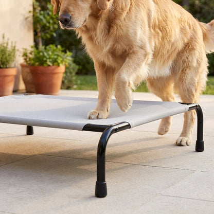 Elevated Cooling Dog Bed – 47.75" Large Outdoor & Indoor Dog Cot (Grey) | Paws Palace