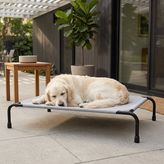 Elevated Cooling Dog Bed – 47.75" Large Outdoor & Indoor Dog Cot (Grey) | Paws Palace