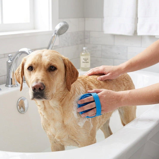Pet Bathing & Grooming Brush Set – Soft Rubber Massage Brushes for Dogs & Cats, 2-Pack | Paws Palace