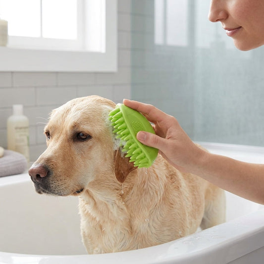 Silicone Pet Grooming Brush – Heavy-Duty Bath & Massage Brush for Dogs and Cats (Green) | Paws Palace