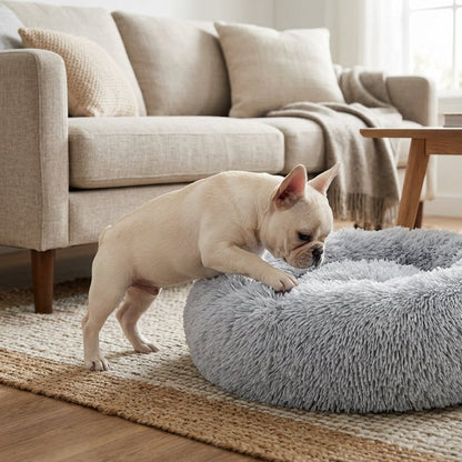 Calming Donut Pet Bed – 20" Plush Bed for Small Dogs & Cats (Light Grey) | Paws Palace